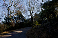 Summit Springs Road